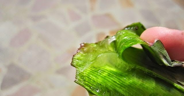 El preparado no hormónico a la eccema